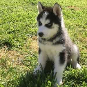 Meet your Posher, Heather